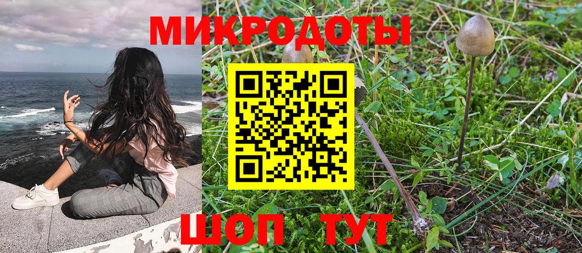 Псилоцибиновые грибы мухоморы  Вход с VPN  Отрадное  Псилоцибиновые грибы MAGIC MUSHROOMS 